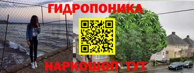 PSILOCYBIN Кимры