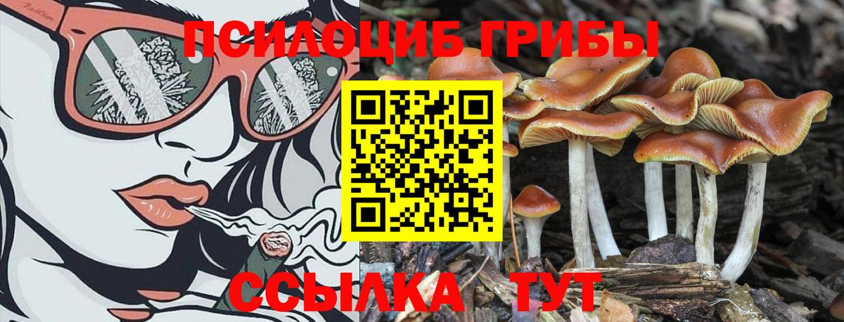 Псилоцибиновые грибы прущие грибы  Вход с VPN  Кудрово  Псилоцибиновые грибы ЛСД 
