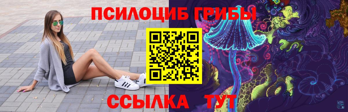 Галлюциногенные грибы Psilocybine cubensis Кудрово